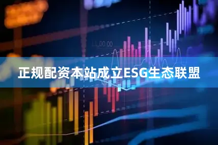正规配资本站成立ESG生态联盟