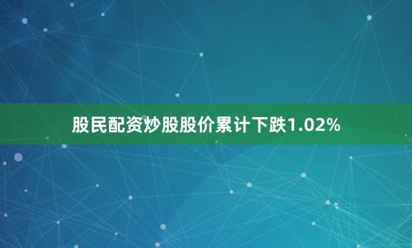 股民配资炒股股价累计下跌1.02%